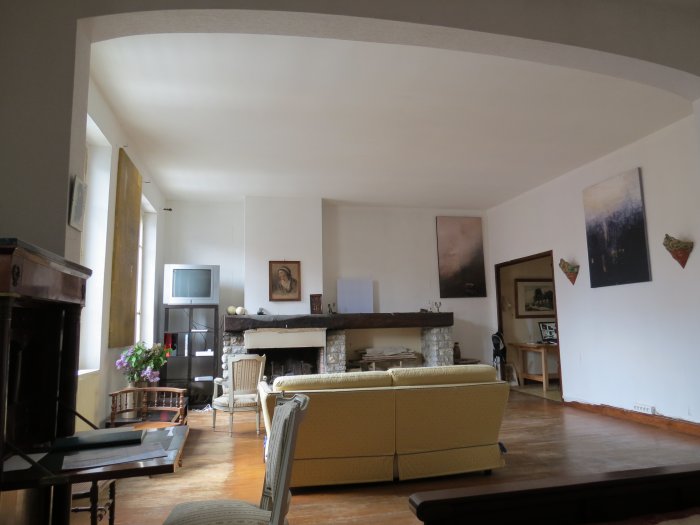 Hommage à Goya, 2012, acrylique sur toile, 162 x 89 cm.